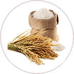 Cửa hàng thực phẩm, rau củ, trái cây hoa quả sạch Organic 9 LÚA GẠO